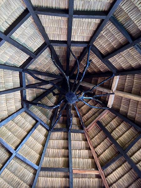 IMG_7282.jpg IMG_7282.jpg