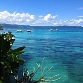 IMG_7270.jpg IMG_7270.jpg