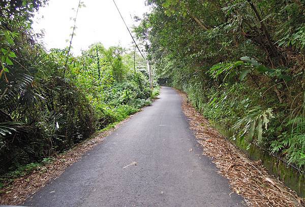 DSCN4682.jpg DSCN4682.jpg