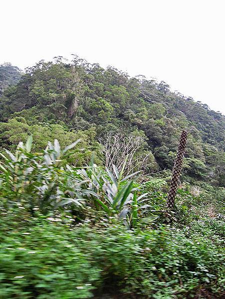 DSCN4688.jpg DSCN4688.jpg