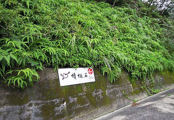 DSCN4689.jpg DSCN4689.jpg