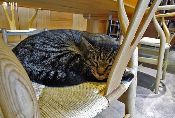 DSCN4698.jpg DSCN4698.jpg