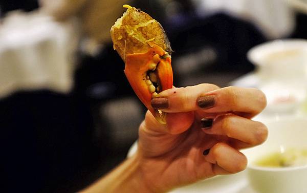 DSCF6041.jpg DSCF6041.jpg