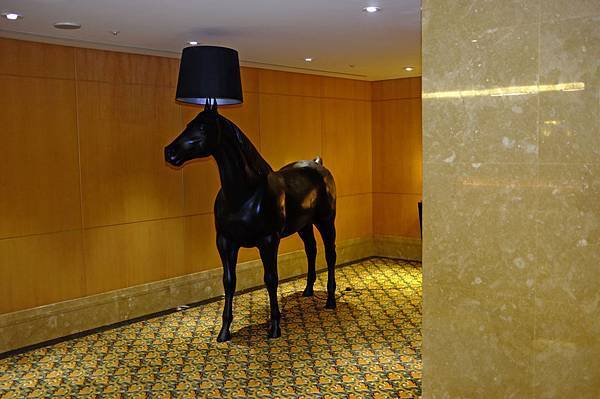 DSCF6067.jpg DSCF6067.jpg