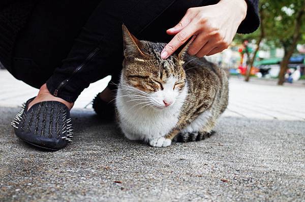 R0010698.JPG R0010698.JPG