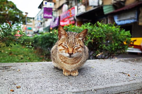 R0010717.JPG R0010717.JPG