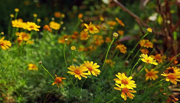 墾丁光現旅宿 墾丁光現旅宿