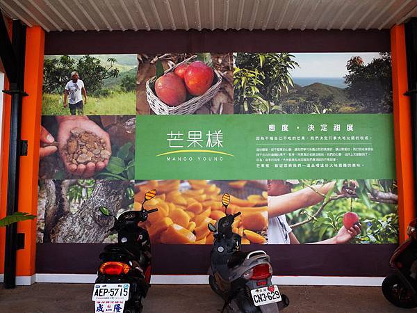 屏東枋山芒果樣 屏東枋山芒果樣