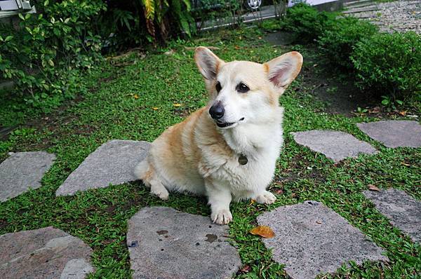 後湖水月 後湖水月