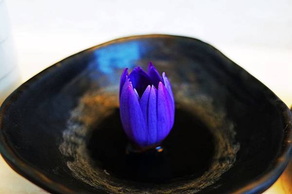 後湖水月 後湖水月