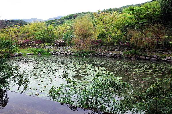 後湖水月 後湖水月