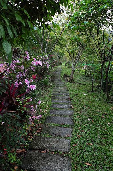 後湖水月 後湖水月