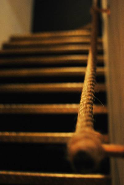 DSC_0241.JPG DSC_0241.JPG