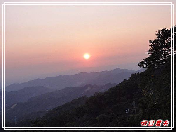 貓的城堡DSC05640.jpg 貓的城堡DSC05640.jpg