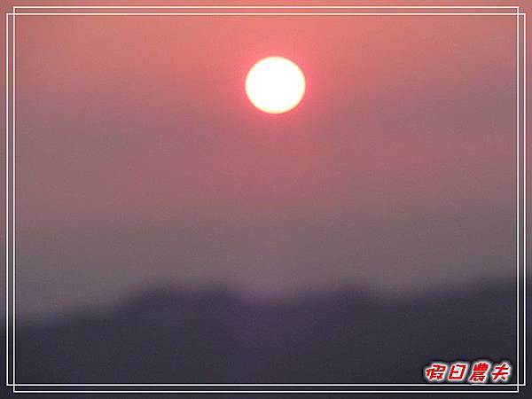 貓的城堡DSC05646.jpg 貓的城堡DSC05646.jpg