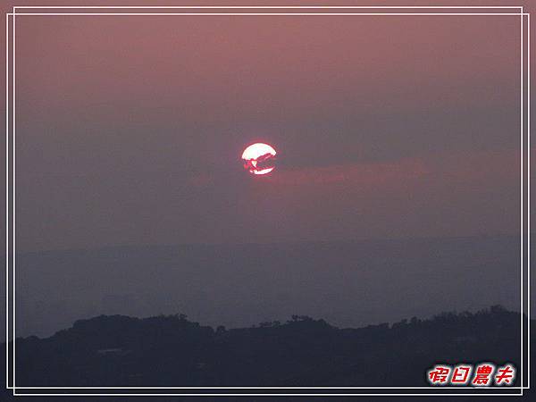 貓的城堡DSC05658.jpg 貓的城堡DSC05658.jpg
