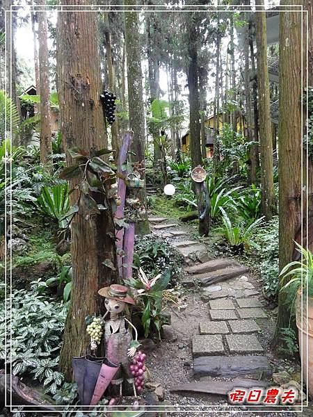 溪頭一日遊DSC03779.jpg