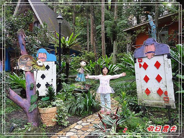 溪頭一日遊DSC03792.jpg