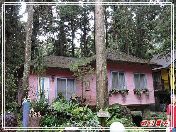 溪頭一日遊DSC03808.jpg