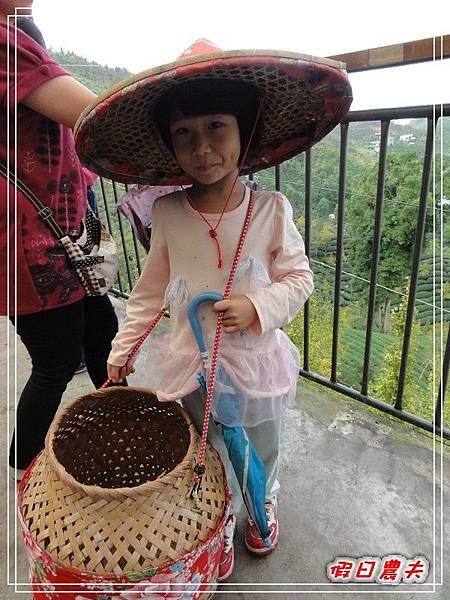 溪頭一日遊DSC03850.jpg