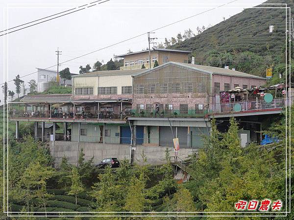 溪頭一日遊DSC03896.jpg