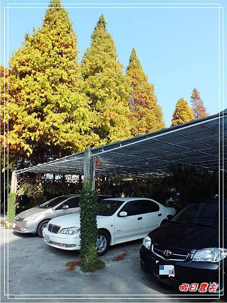 菁芳園DSCF4214.jpg 菁芳園DSCF4214.jpg