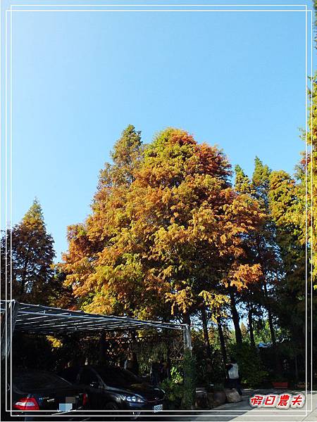 菁芳園DSCF4215.jpg 菁芳園DSCF4215.jpg