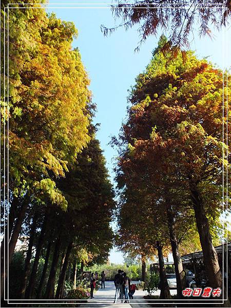 菁芳園DSCF4217.jpg 菁芳園DSCF4217.jpg