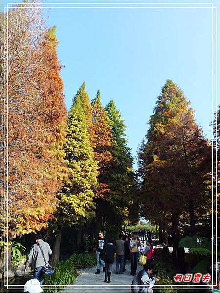 菁芳園DSCF4220.jpg 菁芳園DSCF4220.jpg