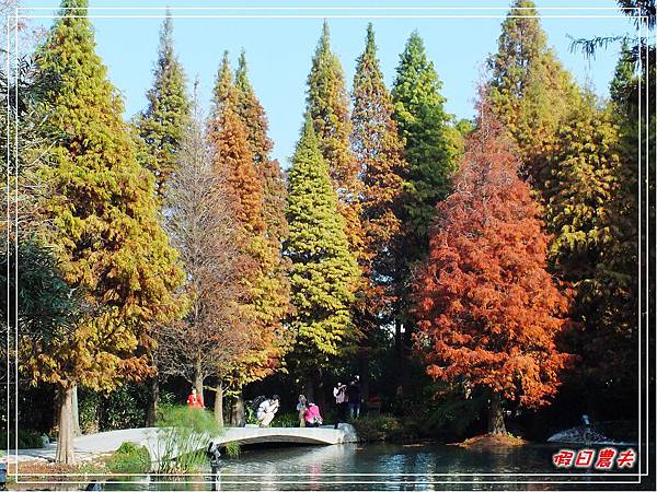 菁芳園DSCF4228.jpg 菁芳園DSCF4228.jpg