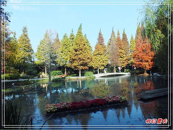 菁芳園DSCF4233.jpg 菁芳園DSCF4233.jpg