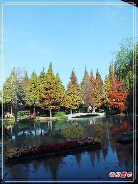 菁芳園DSCF4234.jpg 菁芳園DSCF4234.jpg