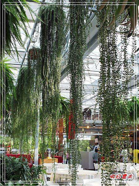 菁芳園DSCF4238.jpg 菁芳園DSCF4238.jpg