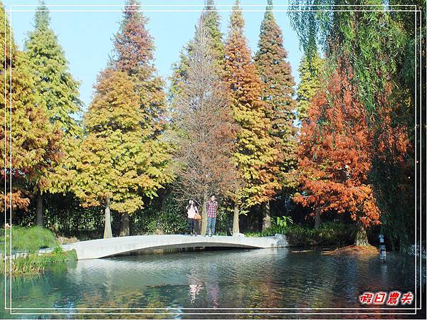 菁芳園DSCF4241.jpg 菁芳園DSCF4241.jpg