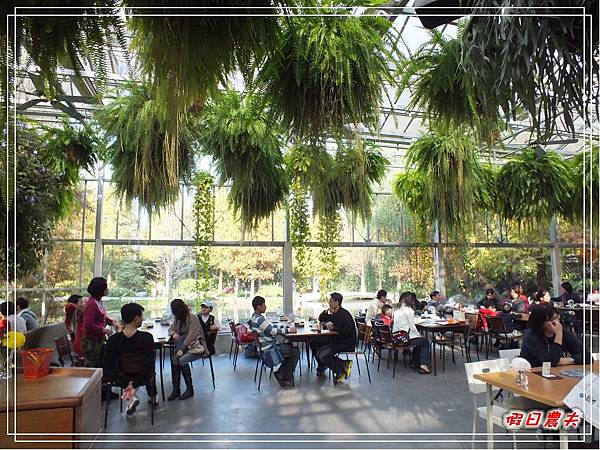 菁芳園DSCF4252.jpg 菁芳園DSCF4252.jpg