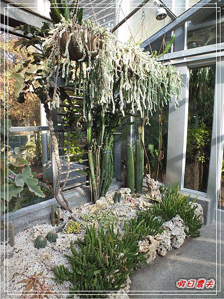 菁芳園DSCF4265.jpg 菁芳園DSCF4265.jpg