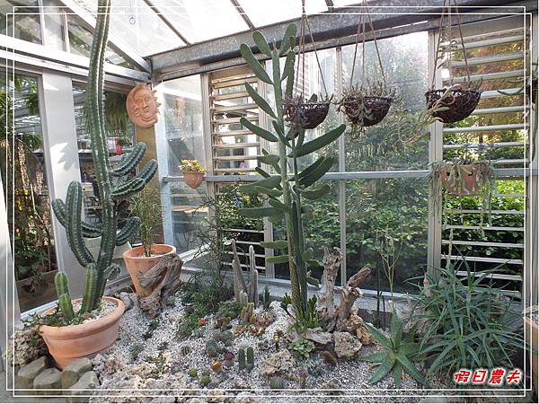 菁芳園DSCF4266.jpg 菁芳園DSCF4266.jpg