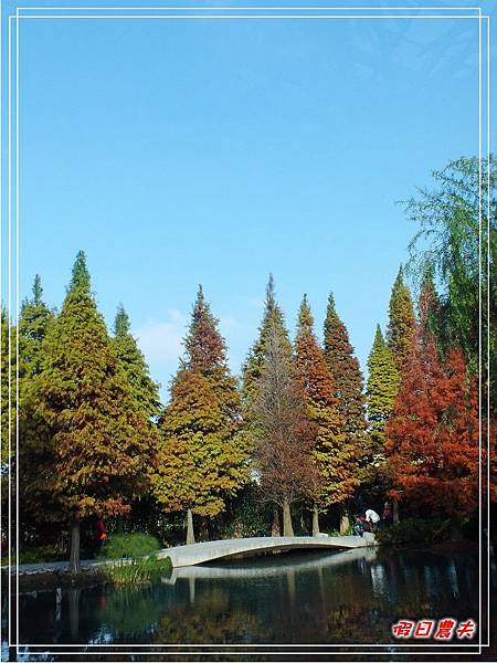 菁芳園DSCF4272.jpg 菁芳園DSCF4272.jpg