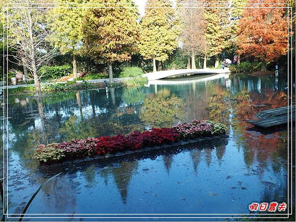 菁芳園DSCF4275.jpg 菁芳園DSCF4275.jpg