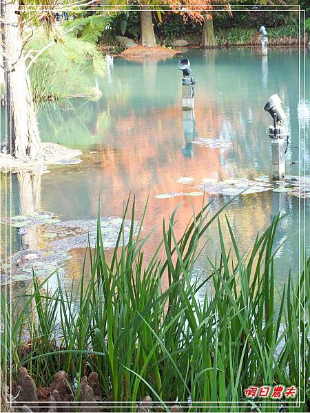 菁芳園DSCF4292.jpg 菁芳園DSCF4292.jpg