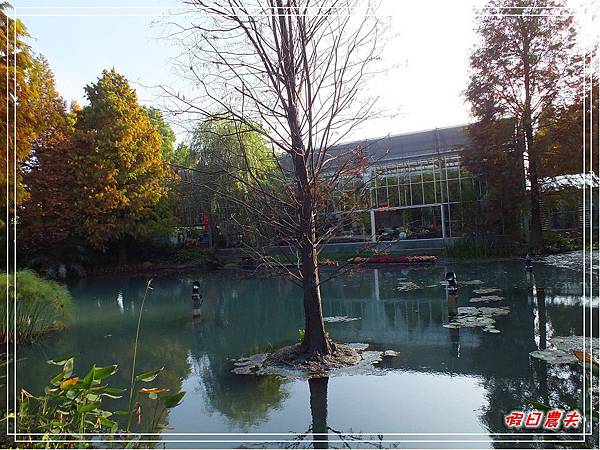 菁芳園DSCF4299.jpg 菁芳園DSCF4299.jpg