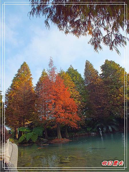 菁芳園DSCF4315.jpg 菁芳園DSCF4315.jpg