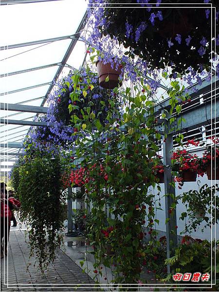 菁芳園DSCF4336.jpg 菁芳園DSCF4336.jpg