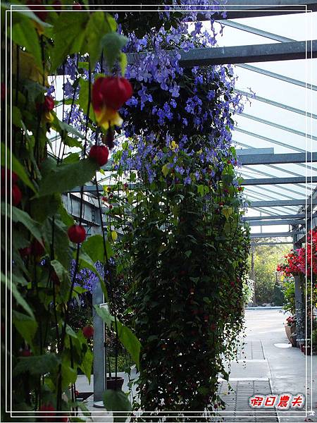 菁芳園DSCF4338.jpg 菁芳園DSCF4338.jpg