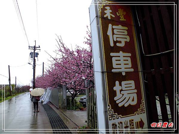 禾豐農場DSCF6740.jpg 禾豐農場DSCF6740.jpg