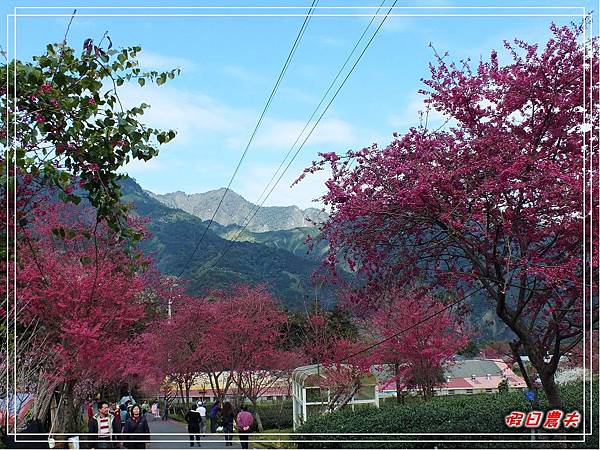 草坪頭DSCF7608.jpg 草坪頭DSCF7608.jpg