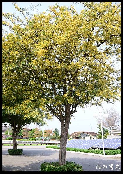 溪州公園DSC_2399