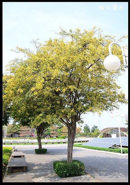 溪州公園DSC_2401