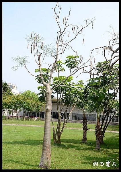 溪州公園DSC_2446