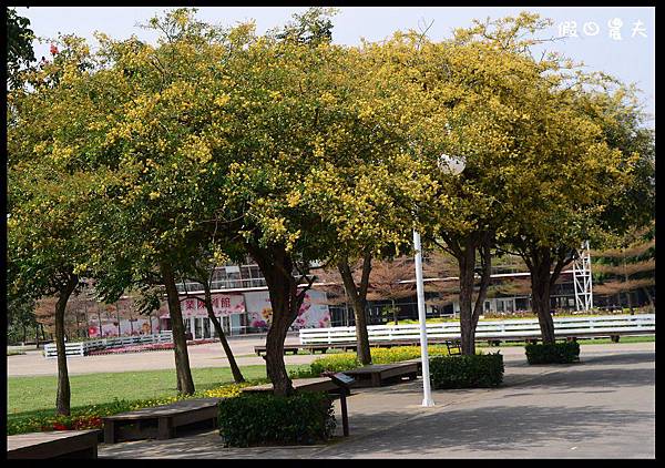 溪州公園DSC_2472